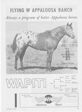 wapitiad2