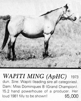 wapitiming