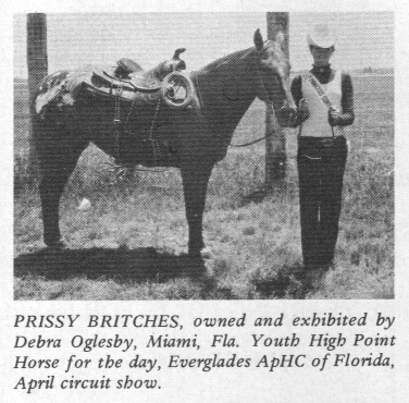 prissybritches