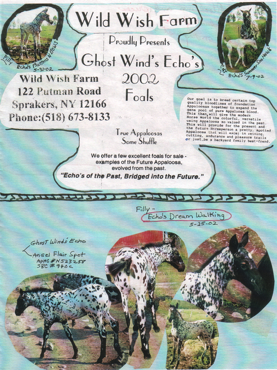 2002flyer1